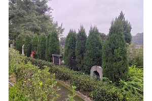 龙台山环境展示2