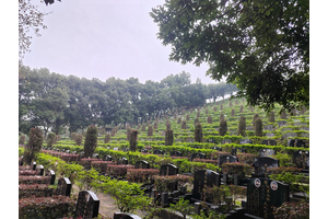 龙台山环境展示