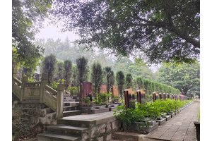 龙台山图片